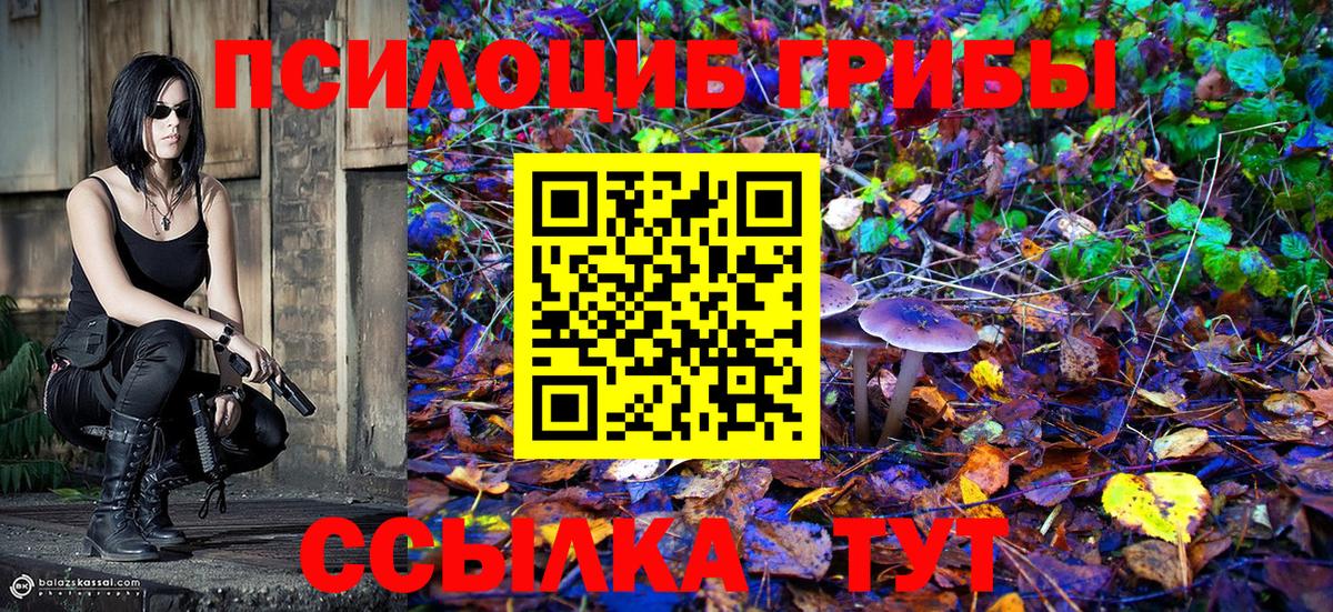 Галлюциногенные грибы Psilocybine cubensis Сокол